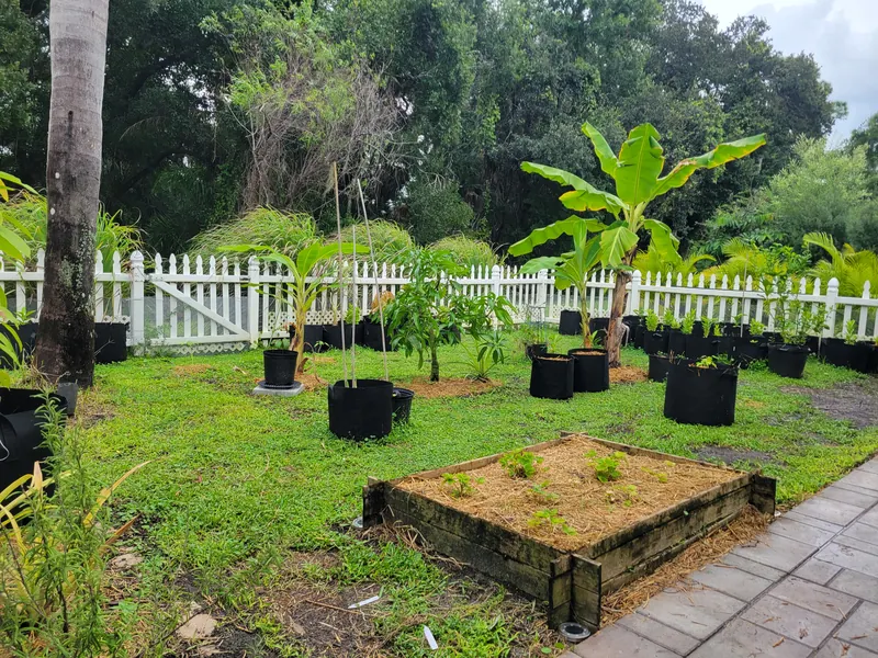 Backyard food forest prototype with banana plants, young trees in fabric pots, and a raised bed